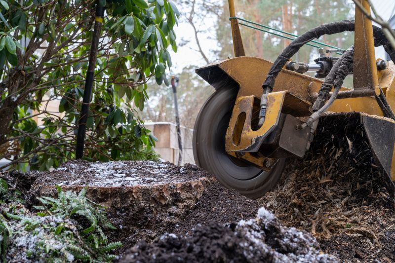 Bush Stump Grinding in Prince Georges County, MD
