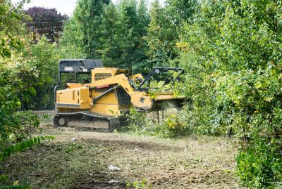 Pasture Clearing in Houston, TX