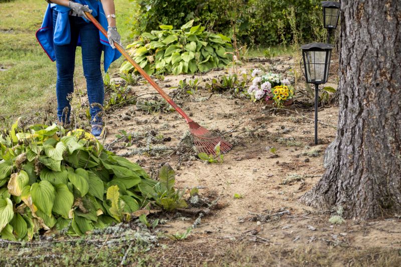 Site Preparation Service in Atlanta, GA