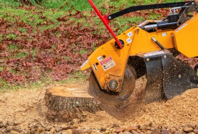 Stump Cutting in Prince Georges County, MD
