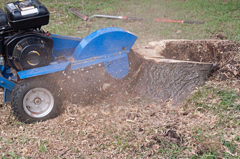 Grinding a Large Stump