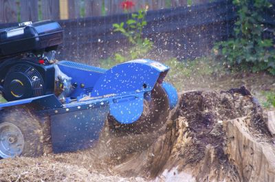 Stump Grinding Equipment Ready