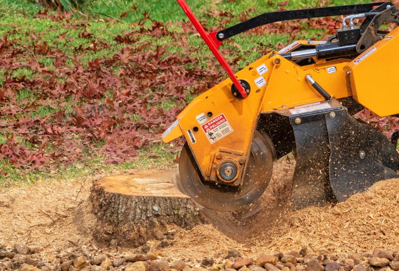Stump Grinding Machinery