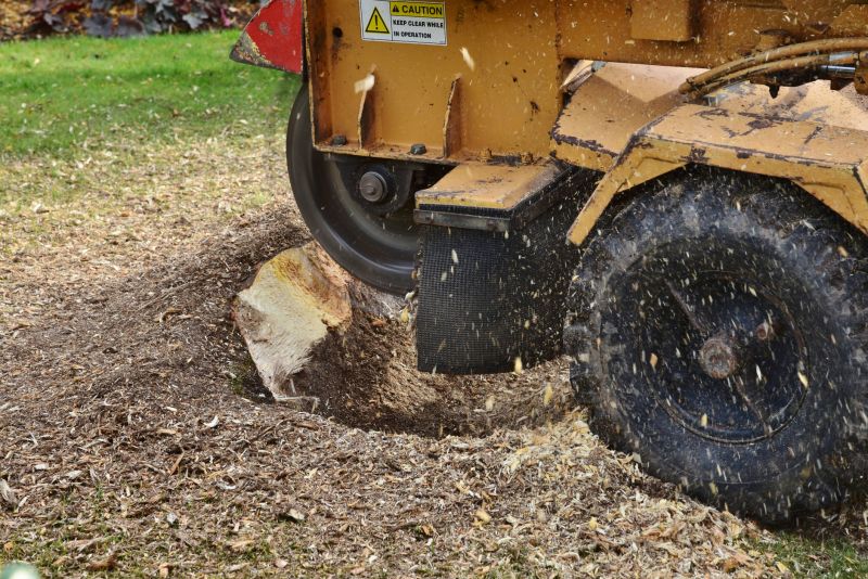 Grinding a Tree Stump