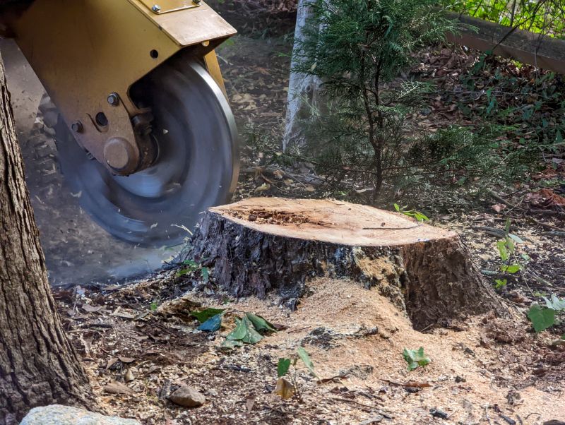 Stump Grinding