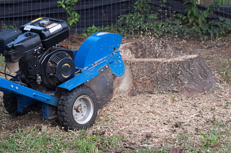 Stump Grinding