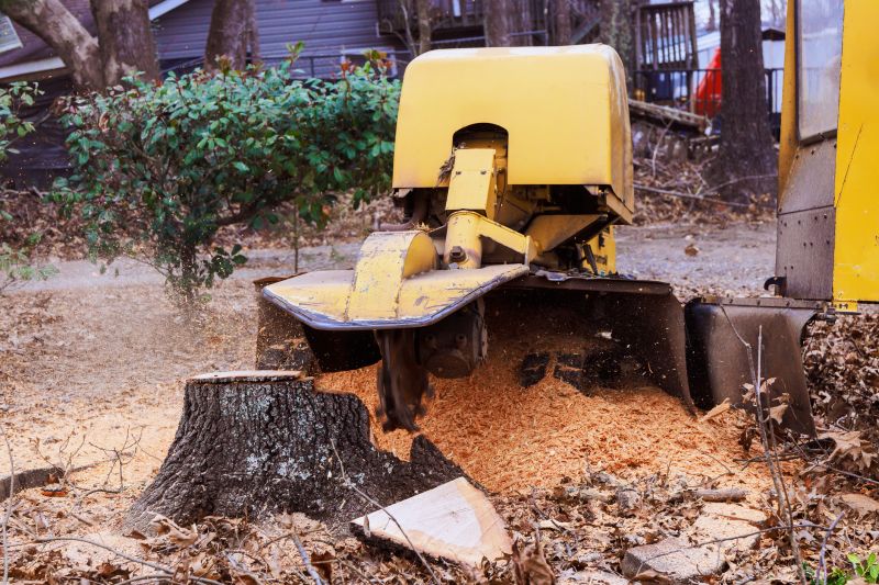 Stump Grinding