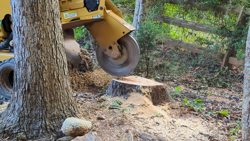 Stump Grinding