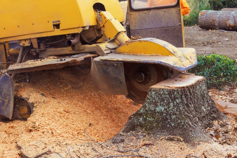 Stump Grinding