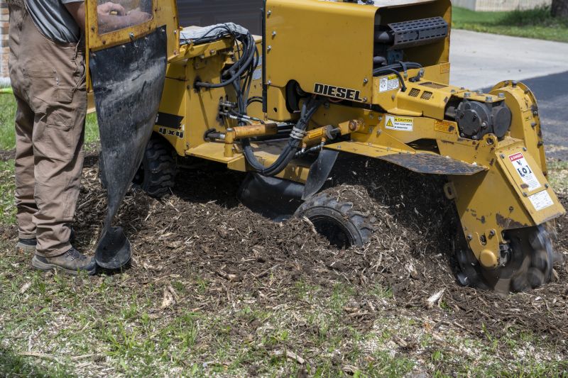 Stump Grinding