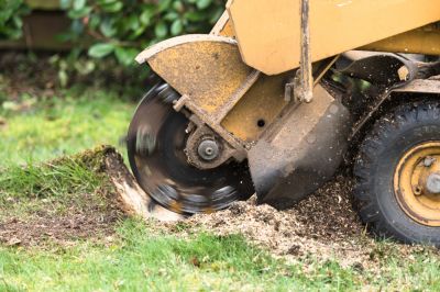 A Tree Stump Grinder