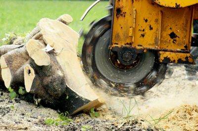 Grinding a Stump