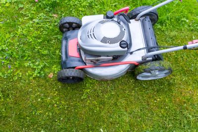 Restore the Appearance of Your Lawn