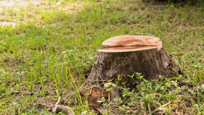 Avoid Tripping and Mowing Problems
